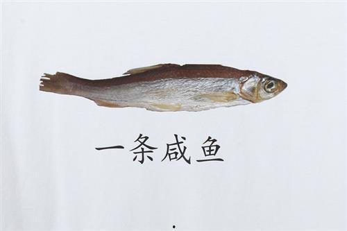 咸鱼躺躺吃瓜系统