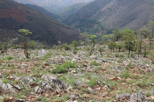 吃瓜群众绛县,揭秘当地热点事件背后的故事