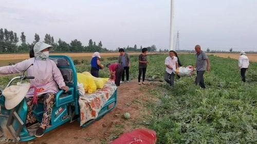 618民众吃瓜,民众吃瓜盛宴，揭秘热门事件背后的真相