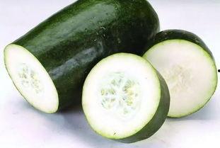 吃山喝瓜,尽享自然美味之旅