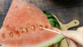 女生分享吃瓜,女生们的甜蜜分享时光