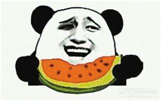 吃瓜群众瓜哥丧尸小游戏,吃瓜群众逆袭求生记