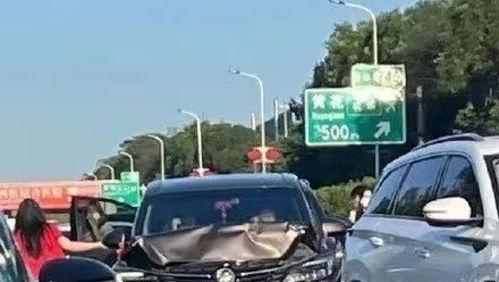 吃瓜汽运中心,揭秘汽运行业的“瓜田”奇观