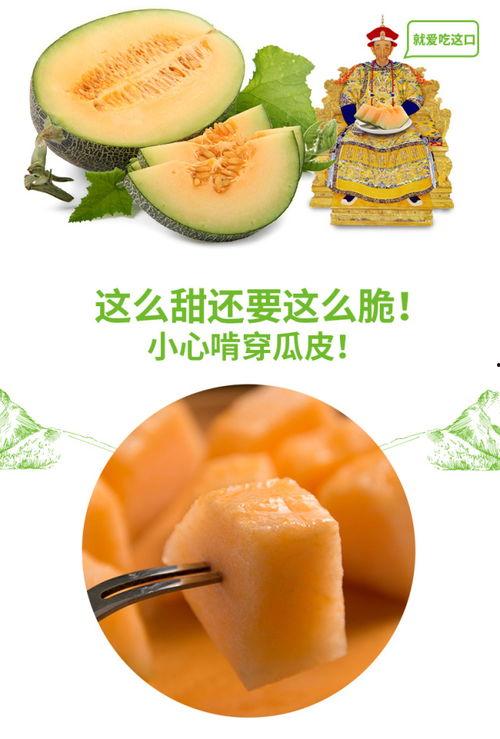 吃瓜少女魏淑芬吃蜜瓜,吃瓜少女的甜蜜邂逅