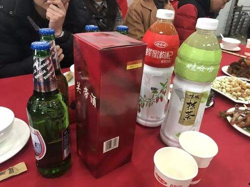 娃哈哈独自吃瓜,品味夏日清新