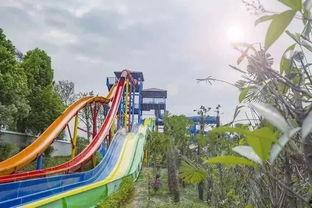 吃瓜湄潭,一场味蕾与历史的邂逅