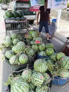 保定大观吃瓜事件,一场网络热议的社区冲突揭秘