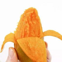 星芒吃瓜,揭秘娱乐圈幕后故事