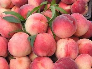 吃瓜看着桃,一场视觉与味觉的盛宴