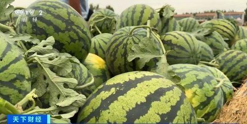 吃瓜群视频直链,直链视频背后的热点事件追踪