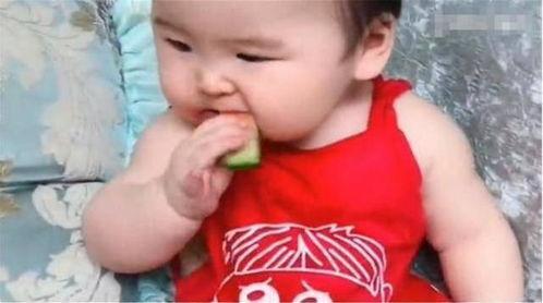 弟弟请爸爸吃瓜,弟弟请爸爸共享甜蜜时光