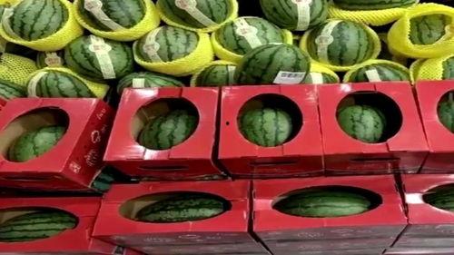 好运吃瓜,揭秘娱乐圈背后的甜蜜与苦涩