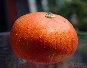 定制po吃瓜,揭秘幕后故事与行业真相