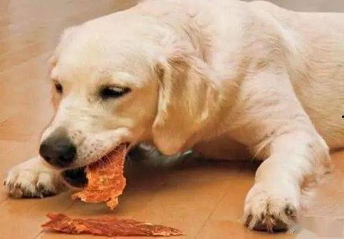 潘红吃瓜狗,揭秘娱乐圈背后的真实故事