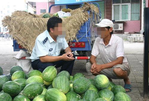盐城吃瓜拍照地点,瓜田风光摄影攻略