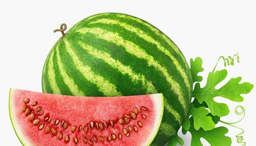 鄄城水果吃瓜