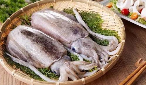 大洋乌贼吃瓜,揭秘它们为何钟爱吃瓜