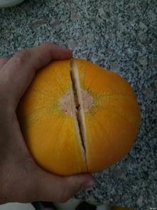 头交吃瓜,揭秘娱乐圈的惊人内幕