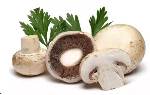 蘑菇视频爆料吃瓜,吃瓜群众热议幕后真相