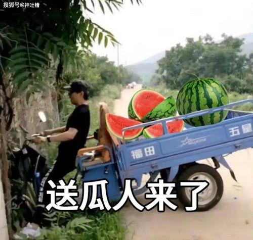 2021最新吃瓜文案,盘点娱乐圈那些让人笑掉大牙的瓜