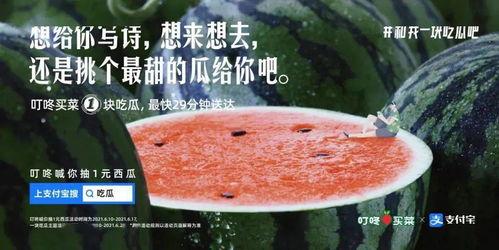 火漆吃瓜群文案,揭秘网络社交圈的趣味与热议