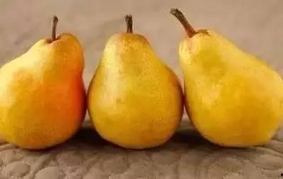 泰蜜吃瓜,揭秘娱乐圈背后的那些事儿