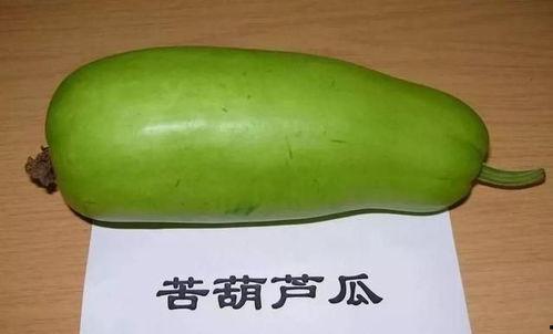 吃瓜有很苦的苦味,探寻苦味背后的秘密